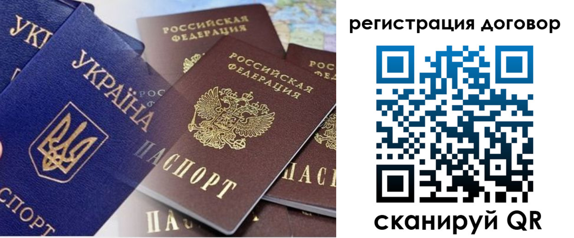 прописка гарантия в Гвардейске